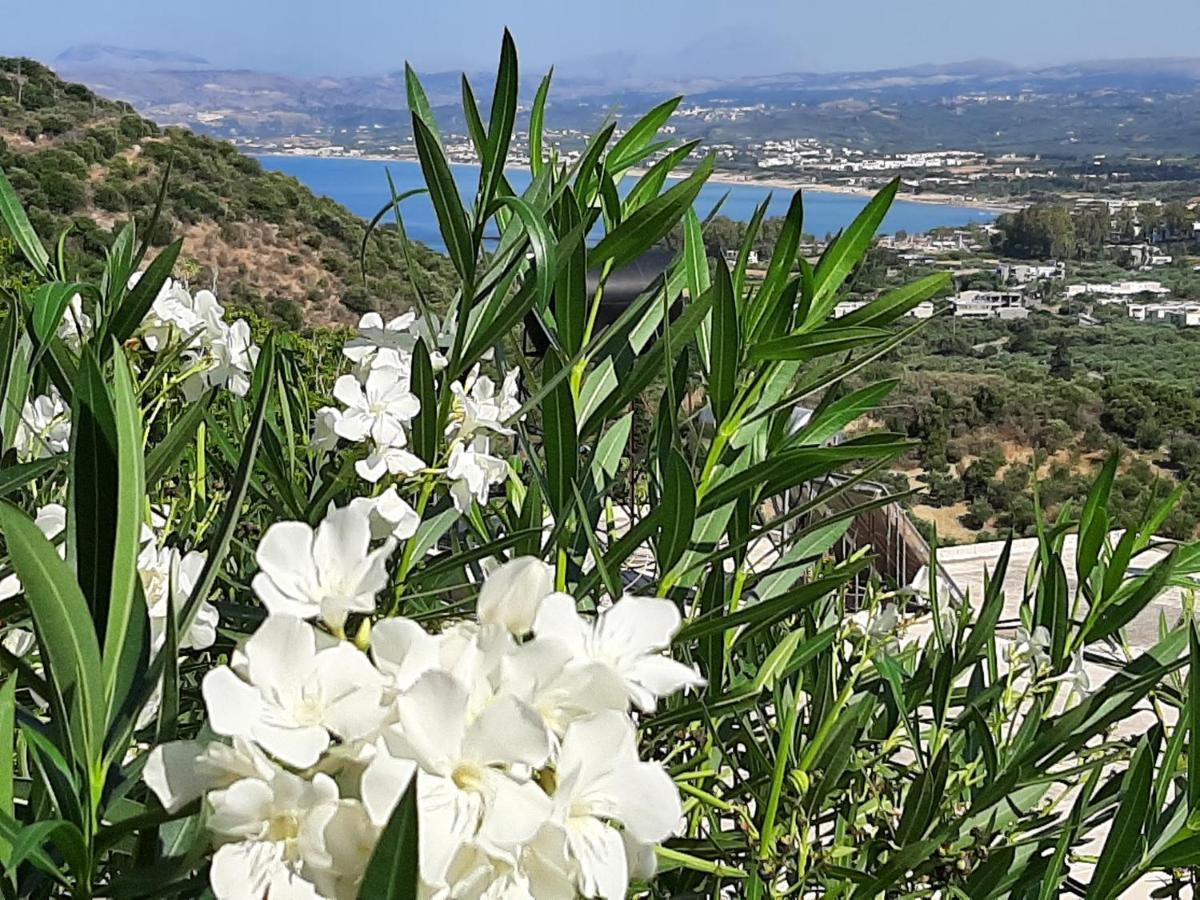Вилла Aloe Chania Crete Георгиуполис